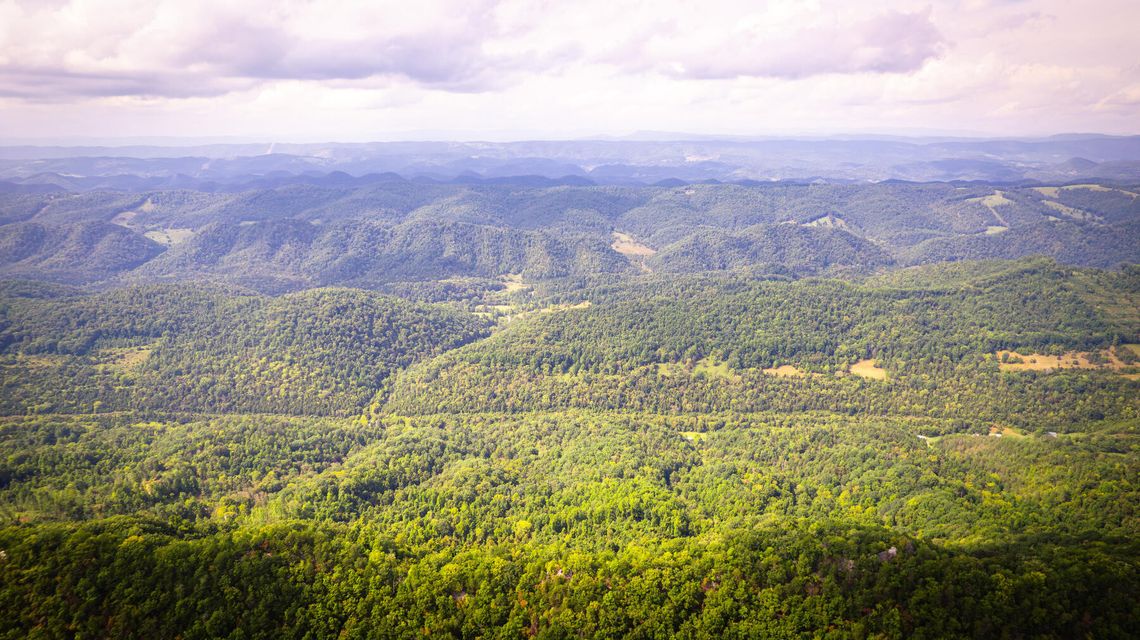 Photo #54: 5384 Clinch Mountain Road