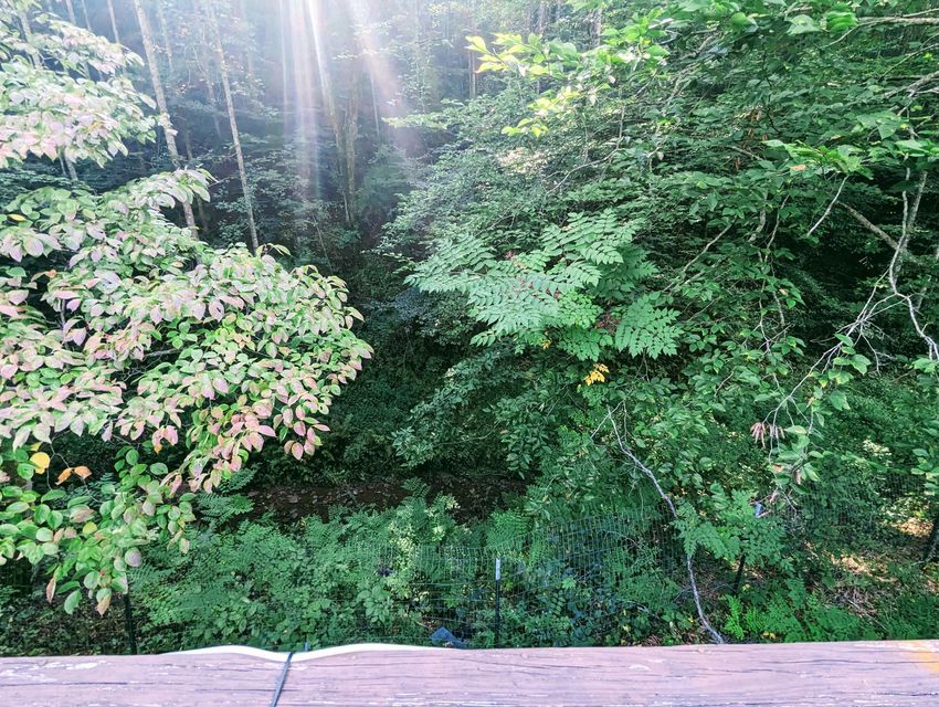 Photo #6: 424 Coeburn Road