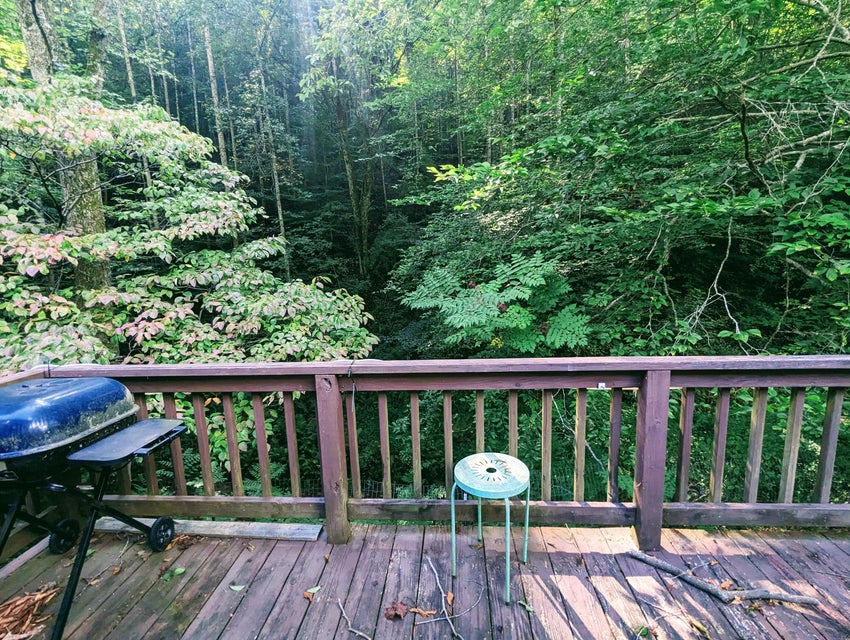 Photo #8: 424 Coeburn Road
