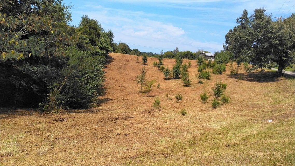 2 Pates Hill Road, Mosheim, Tennessee 37818 — Apple.Re