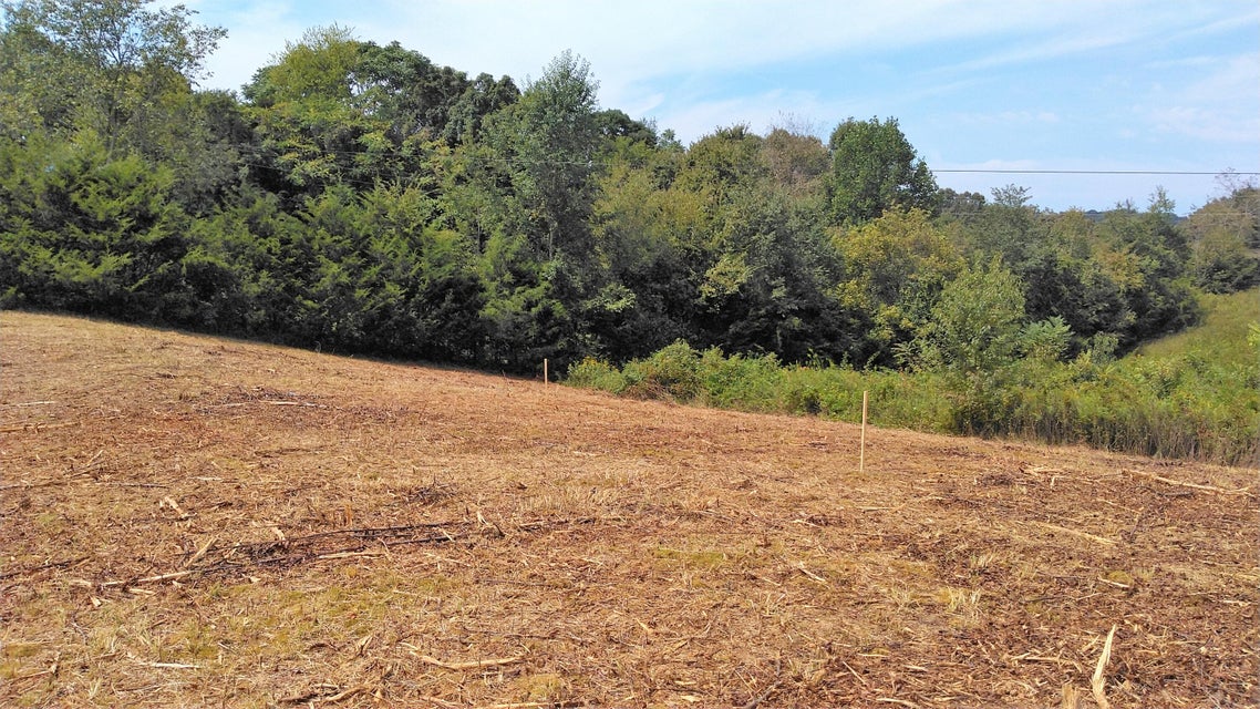 2 Pates Hill Road, Mosheim, Tennessee 37818 — Apple.Re