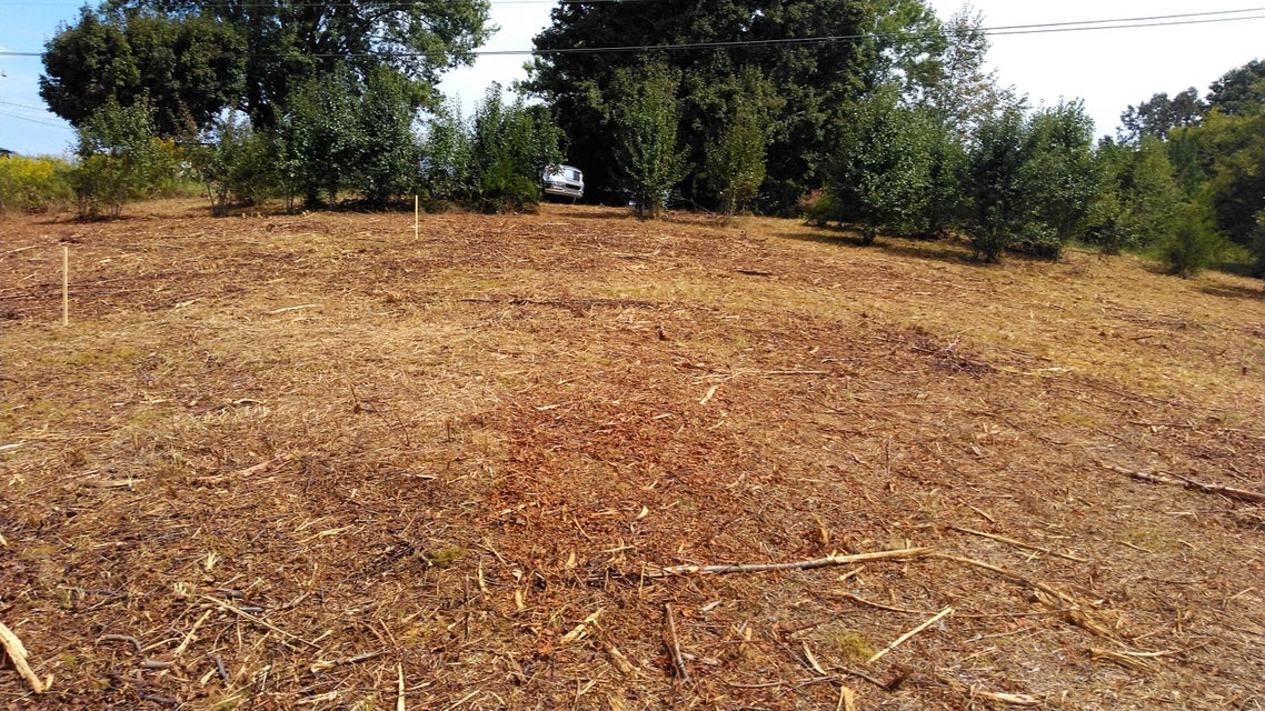 2 Pates Hill Road, Mosheim, Tennessee 37818 — Apple.Re