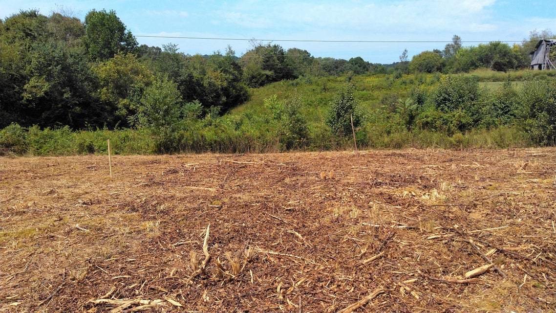 2 Pates Hill Road, Mosheim, Tennessee 37818 — Apple.Re