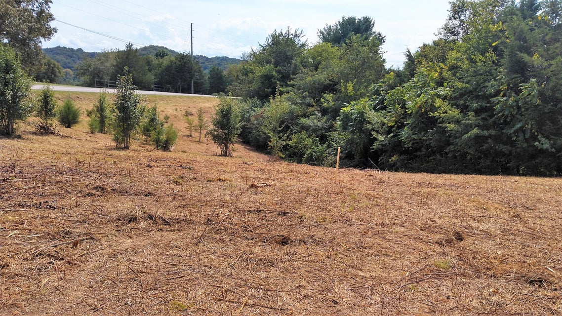 2 Pates Hill Road, Mosheim, Tennessee 37818 — Apple.Re