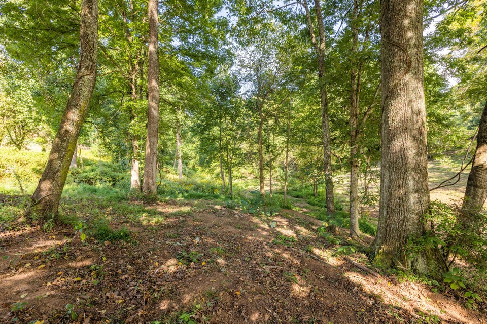 Photo #39: 781 Tuggle Hill Road