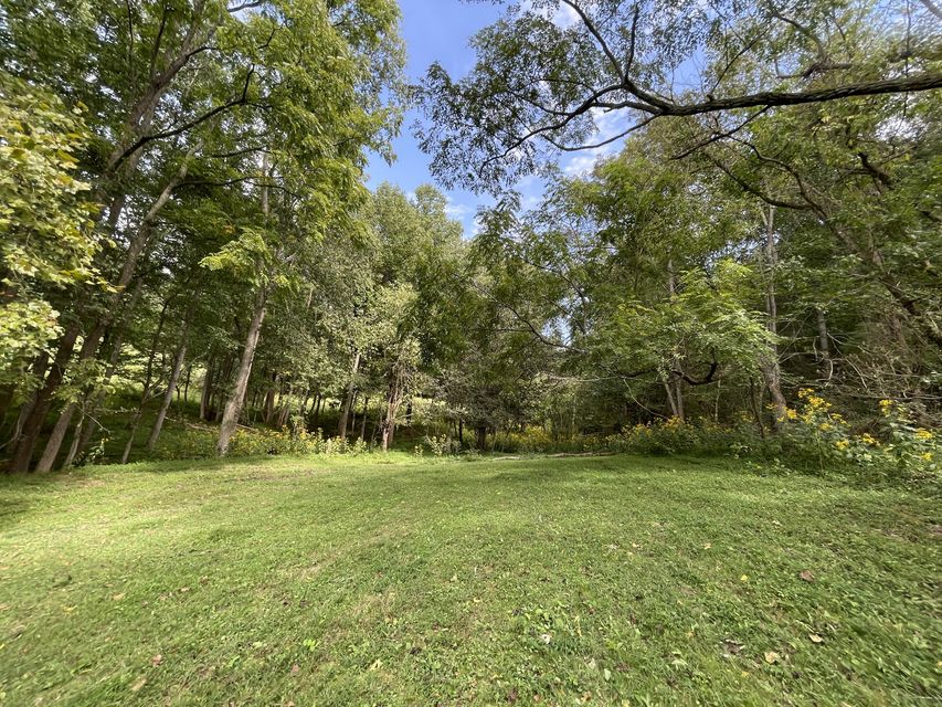 Photo #2: Tract 1 Browns Chapel Road