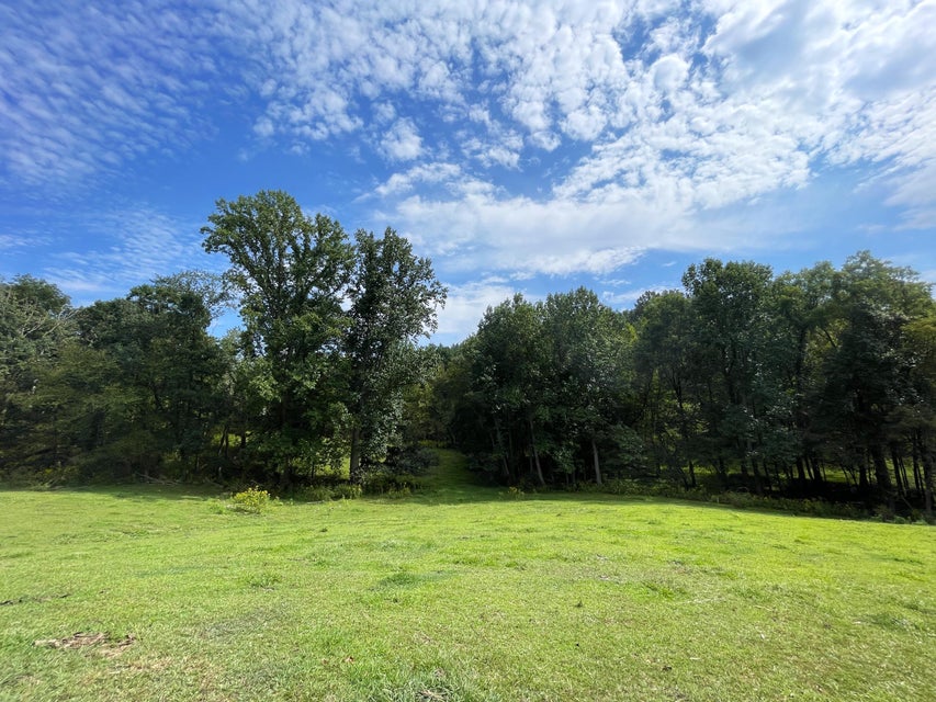 Photo #7: Tract 1 Browns Chapel Road