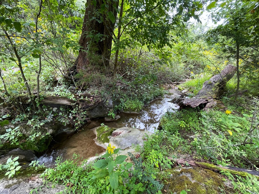 Photo #26: Tract 1 Browns Chapel Road