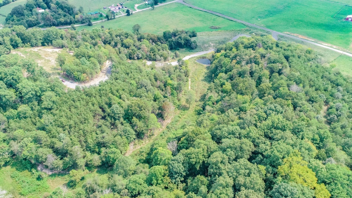 Photo #13: 1850 Old Ducktown Road