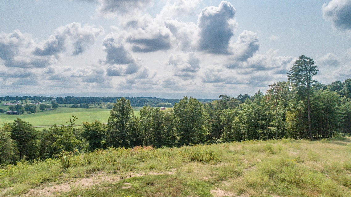 Photo #16: 1850 Old Ducktown Road