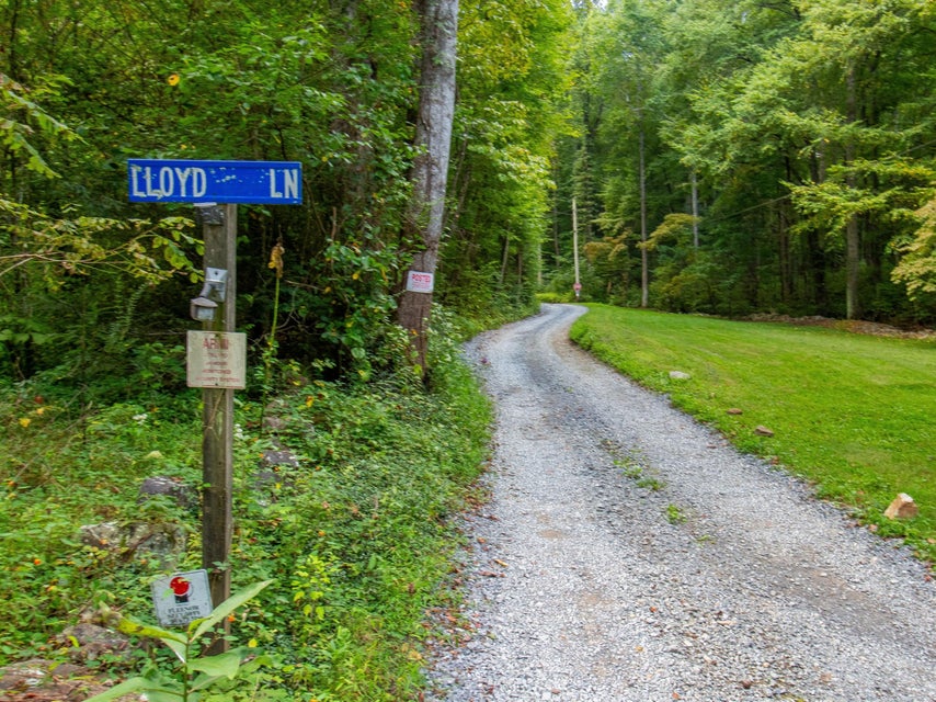 Photo #12: Tbd Lloyd Lane