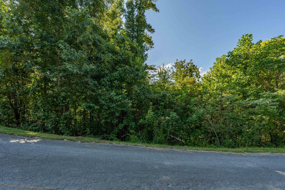 Photo #19: Lot 157A Lakeview Drive