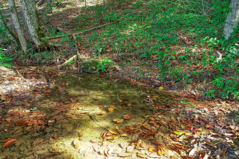 Photo #11: 262 Barnett Hollow Road