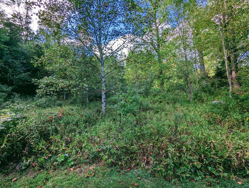 Photo #25: 8908 May Avenue