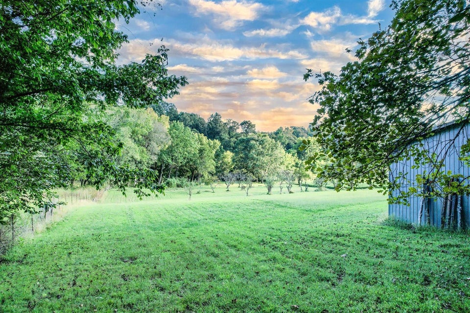 Photo #13: 6.4 Ac Poplar Springs Road
