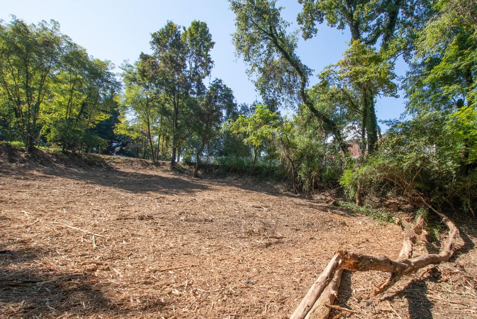 Photo #9: Tbd Arlington Avenue