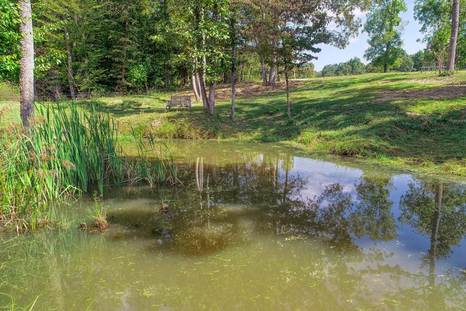 Photo #14: 2673 Beech Creek Road
