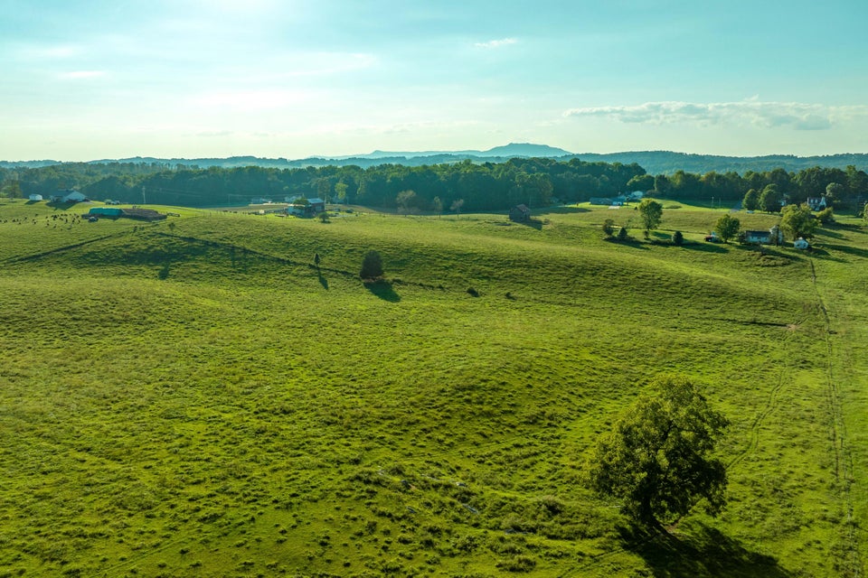 Photo #70: 1016 Harmony Road