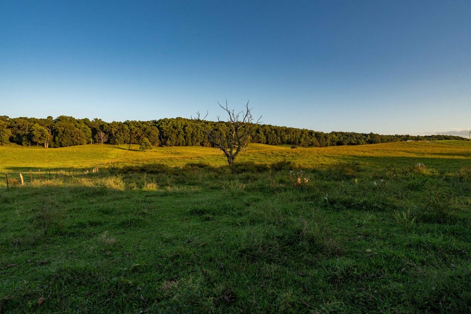 Photo #92: 1016 Harmony Road