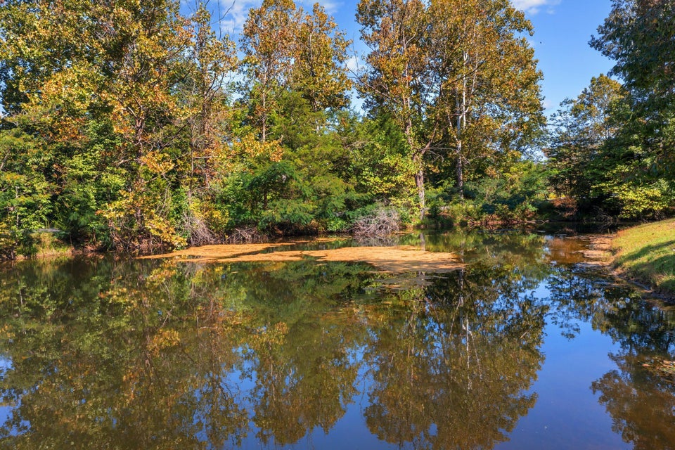 Photo #62: 309 Clemon Road