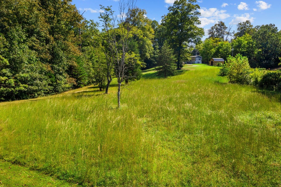 Photo #63: 309 Clemon Road