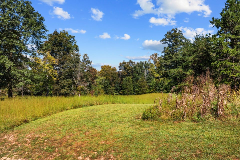 Photo #65: 309 Clemon Road