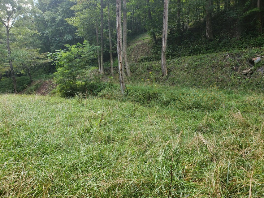 Photo #25: Tbd Old Buck Mountain Road