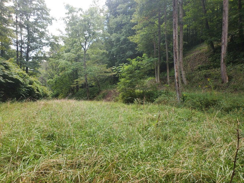 Photo #26: Tbd Old Buck Mountain Road