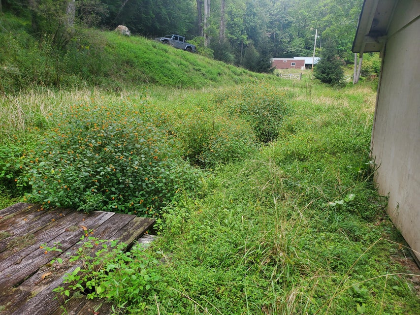 Photo #29: Tbd Old Buck Mountain Road