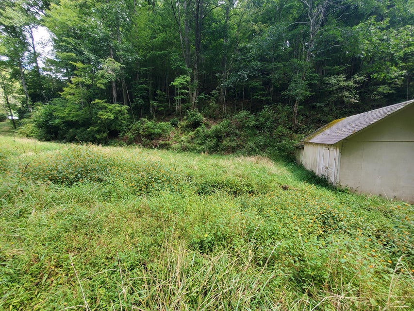 Photo #33: Tbd Old Buck Mountain Road