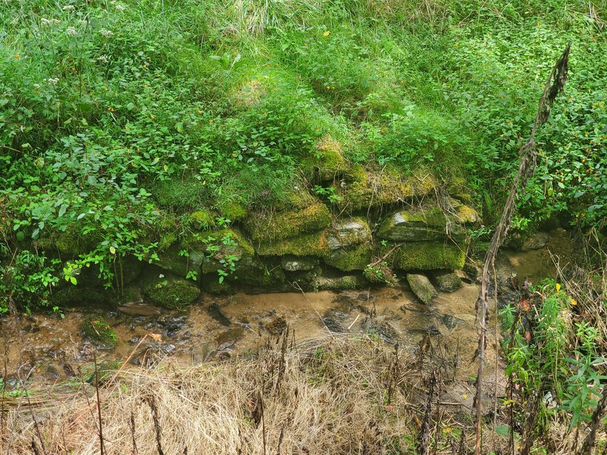 Photo #38: Tbd Old Buck Mountain Road