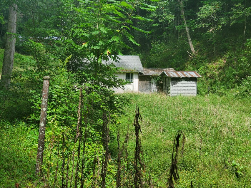 Photo #35: Tbd Old Buck Mountain Road