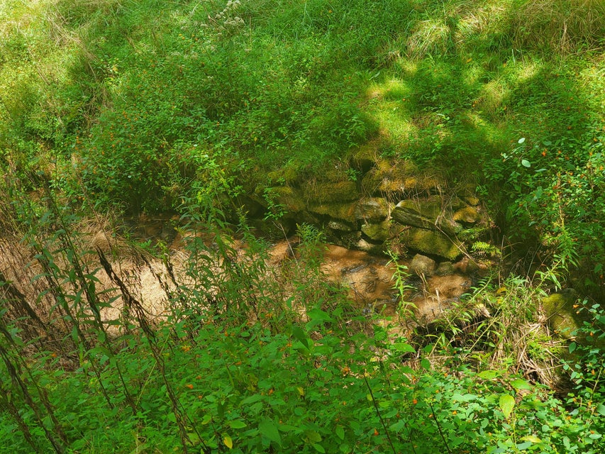Photo #40: Tbd Old Buck Mountain Road