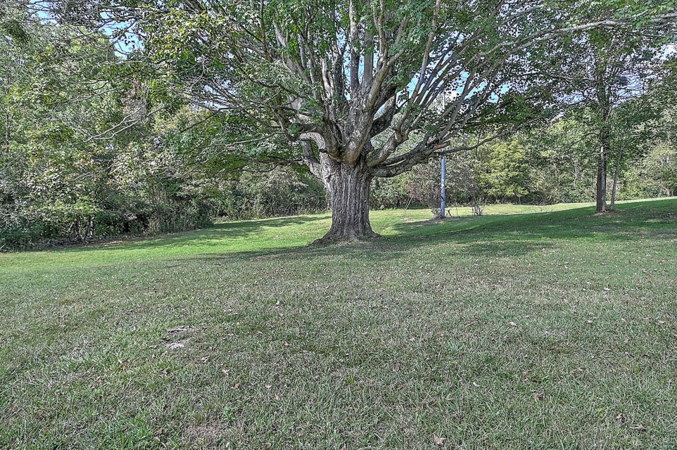 Photo #23: 21157 Clear Creek Road