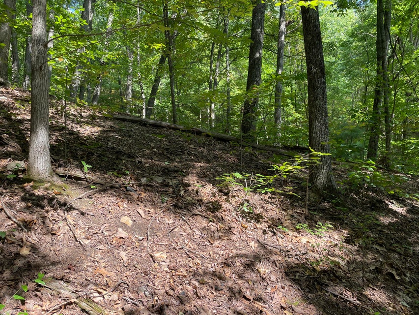 Photo #6: 1327 Yellowwood Drive