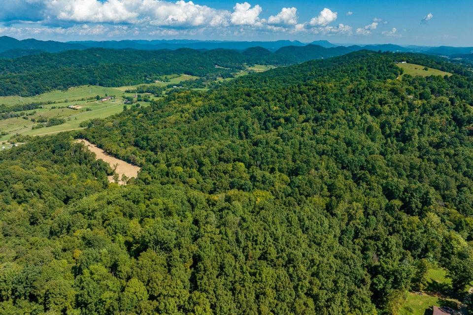Photo #16: 0 Ninny Ridge Rd