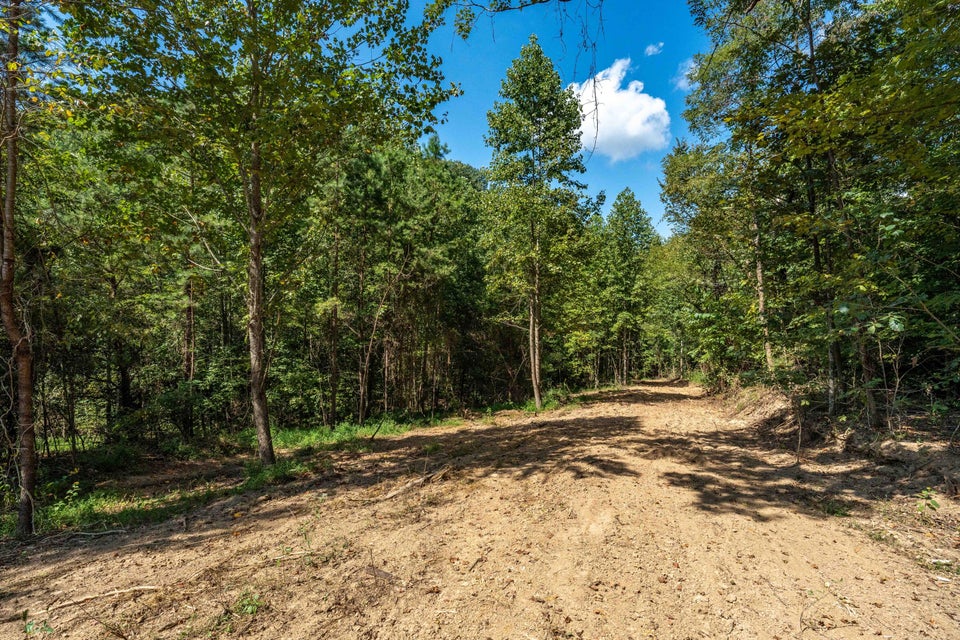 Photo #46: 0 Ninny Ridge Rd