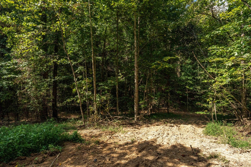 Photo #47: 0 Ninny Ridge Rd