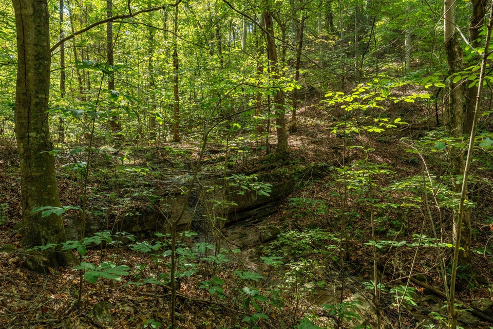 Photo #50: 0 Ninny Ridge Rd