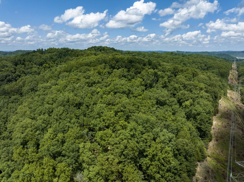 Photo #15: 2782 Watauga Road