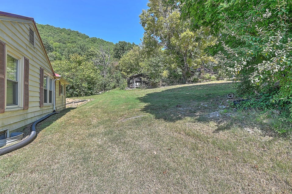 Photo #32: 264 Boone Street
