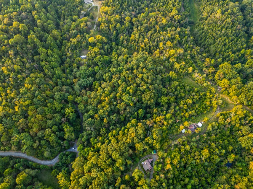 Photo #4: Tbd Buzzard Roost Road