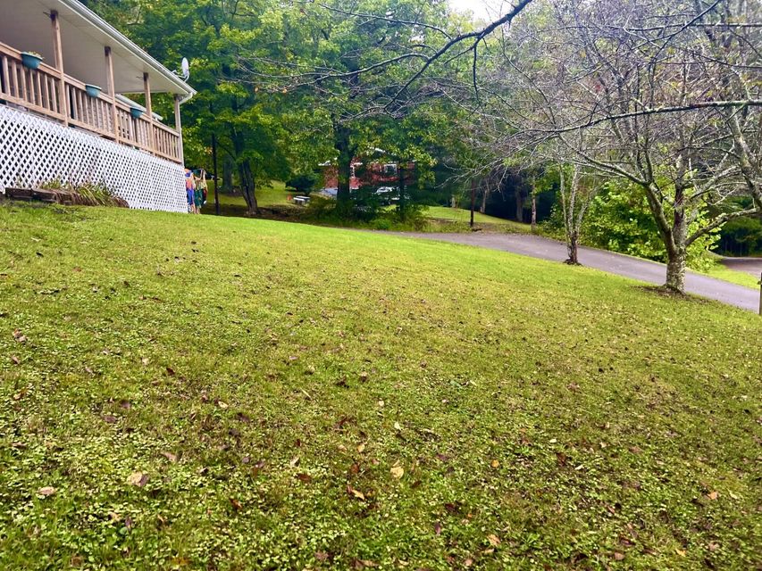Photo #39: 7007 Fincastle Road