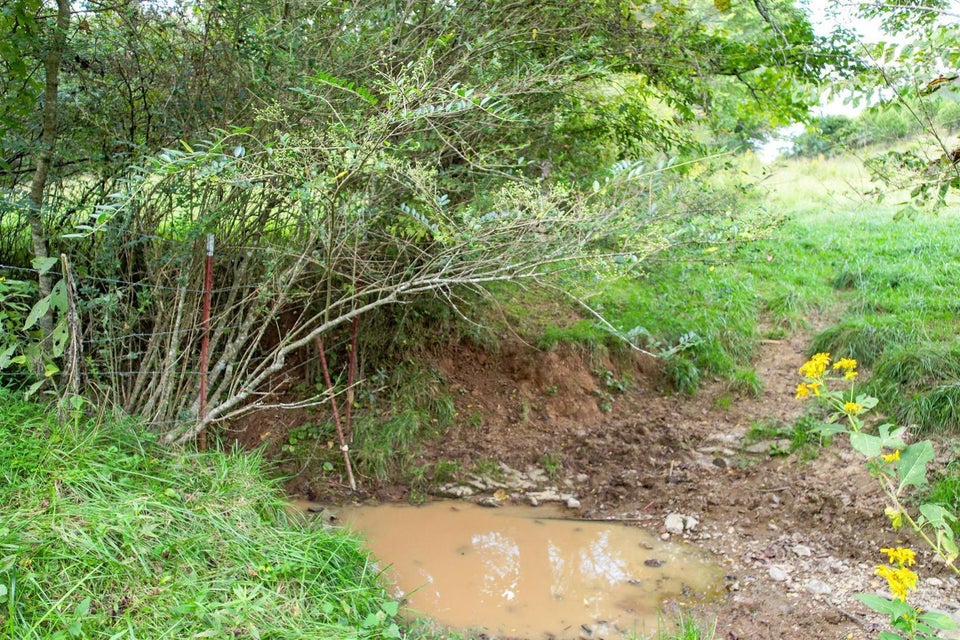 Photo #16: 10.23 Ac Betsy Ross Road