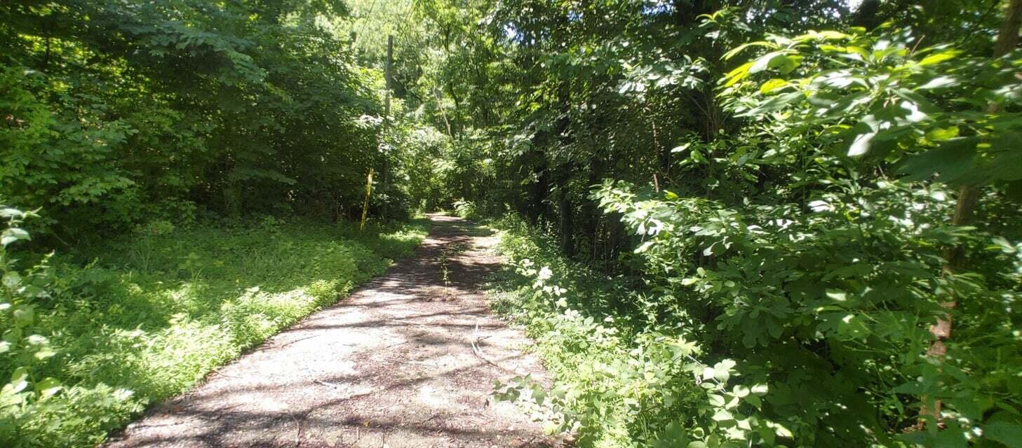 Photo #19: 00 Ridgeheights Drive