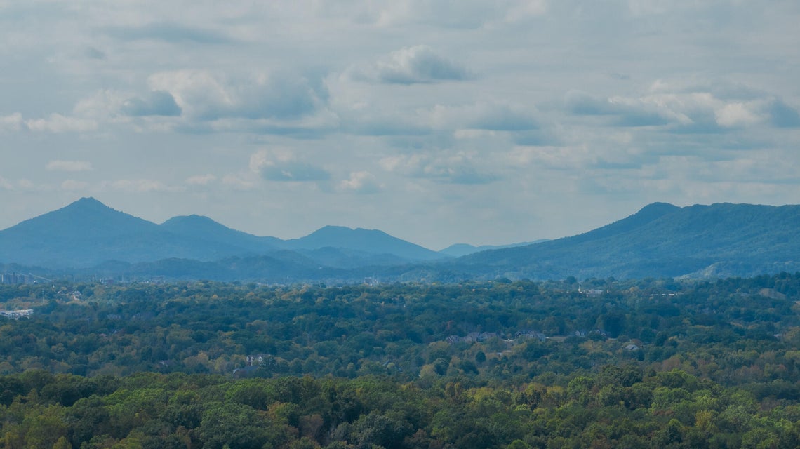 Photo #55: 4260 Bloomingdale Road