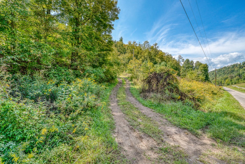 Photo #16: Tbd Draft Road