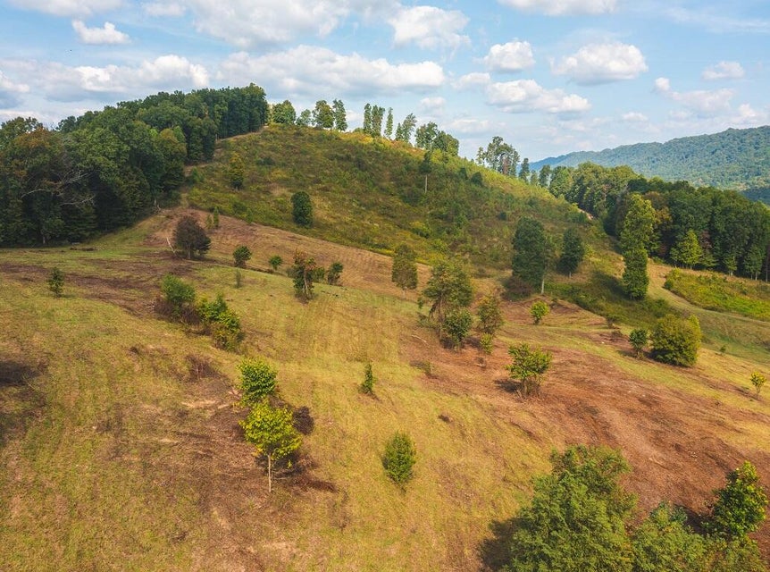 Photo #4: 200 Acres War Creek Road