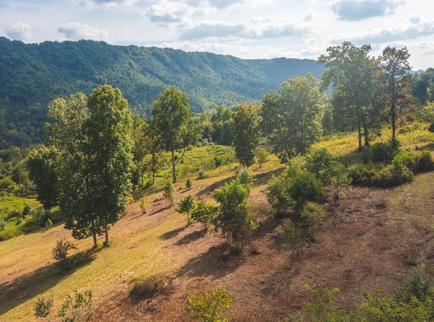 Photo #5: 200 Acres War Creek Road