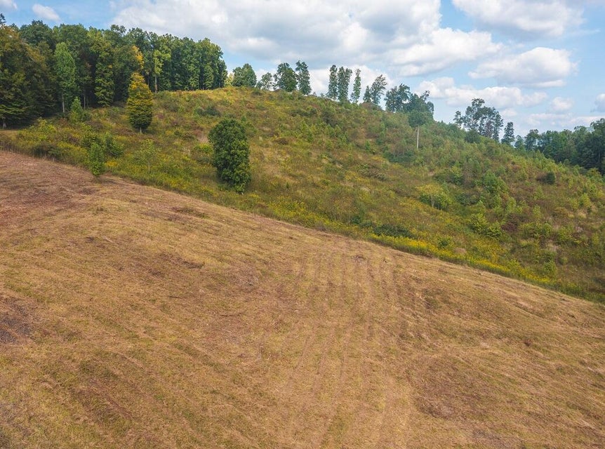 Photo #6: 200 Acres War Creek Road